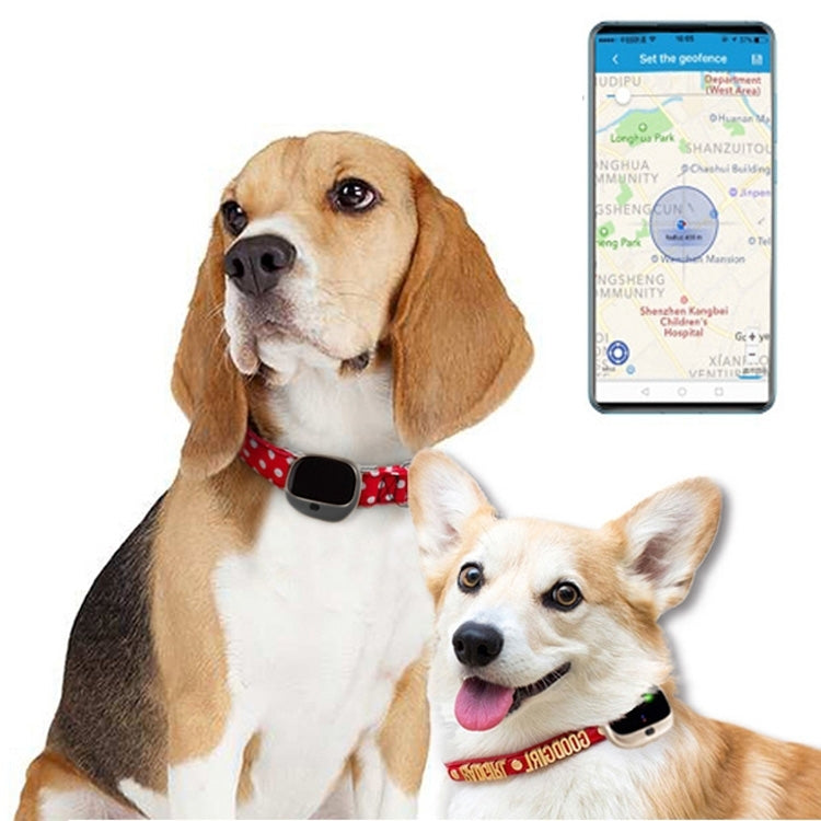 RF-V43 B Style IP67 Waterproof GPS + LBS + WiFi Pet Locator Pet Collar Tracking Device For North America/South America