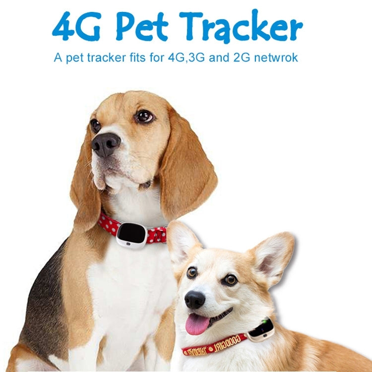 RF-V43 B Style IP67 Waterproof GPS + LBS + WiFi Pet Locator Pet Collar Tracking Device For North America/South America