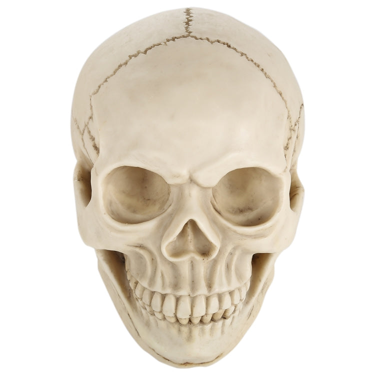 Skull Head Hallowmas Prop Gadget Display, Size: 19(L) x 13(W) x 14cm(H)