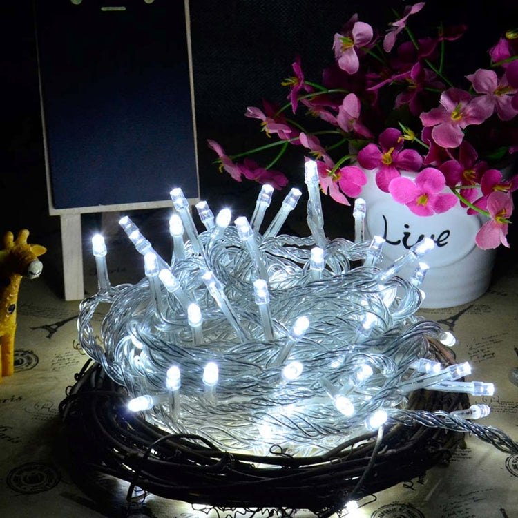 100 LED Light with Controller, Flashing / Fading / Chasing Effect, AC 220V, EU Plug