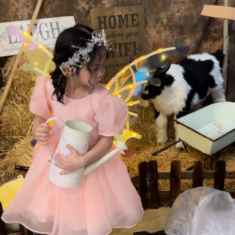 Rockwoo R01 DIY Electric Butterfly Elf Wings Toy