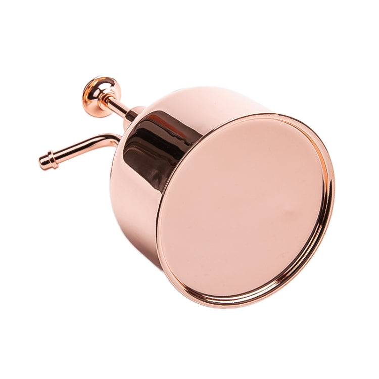 Vintage Brass Gardening Meaty Small Watering Can