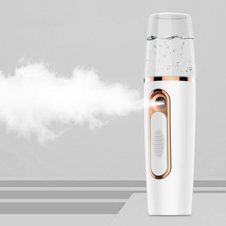 Portable Mini Moisturizing Sprayer Rechargeable Beauty Disinfectant Humidifier Automatic Alcohol Sprayer