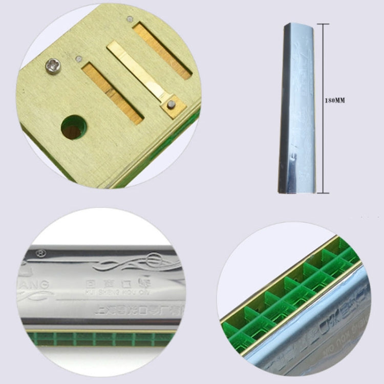 24-hole Echo Polyphony Stress Harmonica Instrument