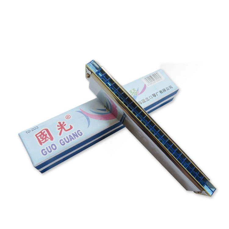 24-hole Echo Polyphony Stress Harmonica Instrument