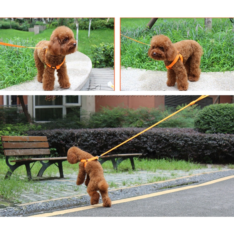 Double Sided LED Light Pet Harness Nylon Cat Dog Chest Strap Leash