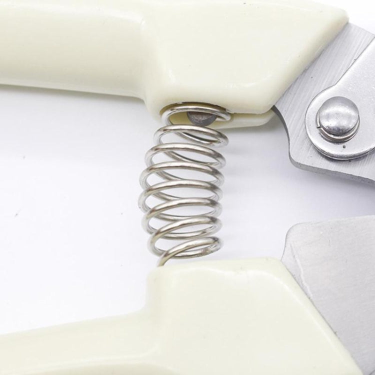 Garden Tools Stainless Steel Pruning Shears Fruit Tree Scissors Garden Branch Shears New And Old Packages Randomly Delivery