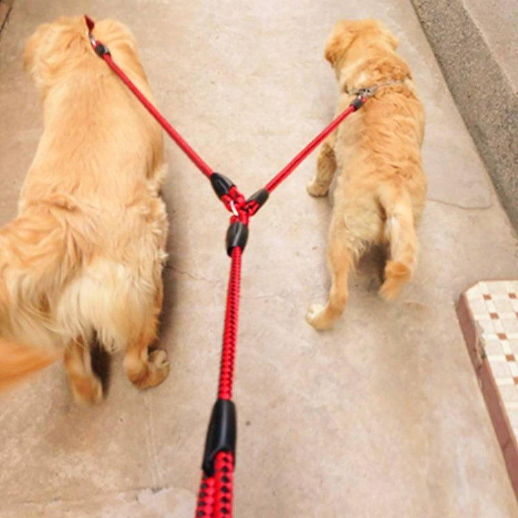 Double Dog Leashes Anti-winding Pet Traction Rope