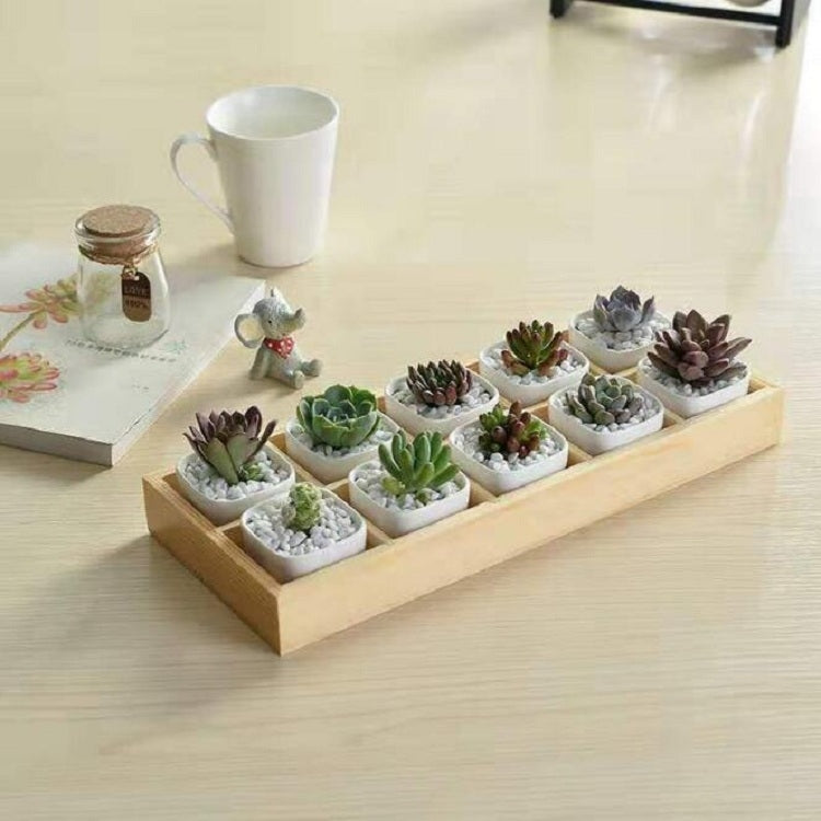 Succulent Wooden Storage Box Landscape Garden Decoration