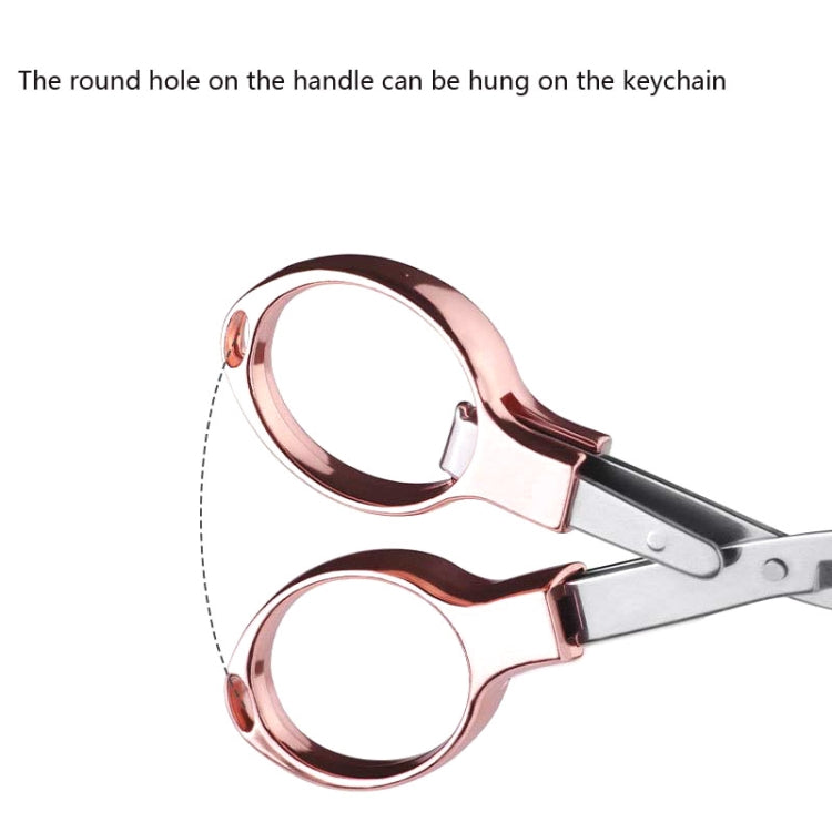 5 PCS Fishing Special Scissors Foldable Stainless Steel Fishing Tackle, Style:Plastic Handle, Color:Color Random Delivery