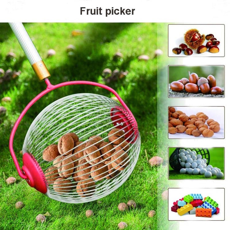 Garden Tools Nut Collector Fruit Picker Picking Walnut Picking Chestnut Picker
