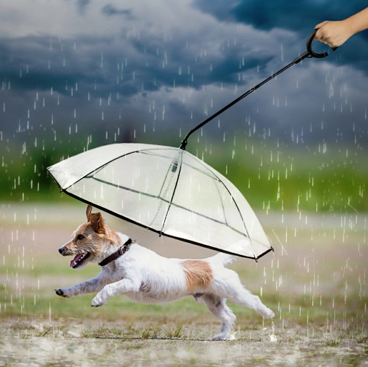 Pet Umbrella Transparent Adjustable Rainy Dog ?Walking Leash