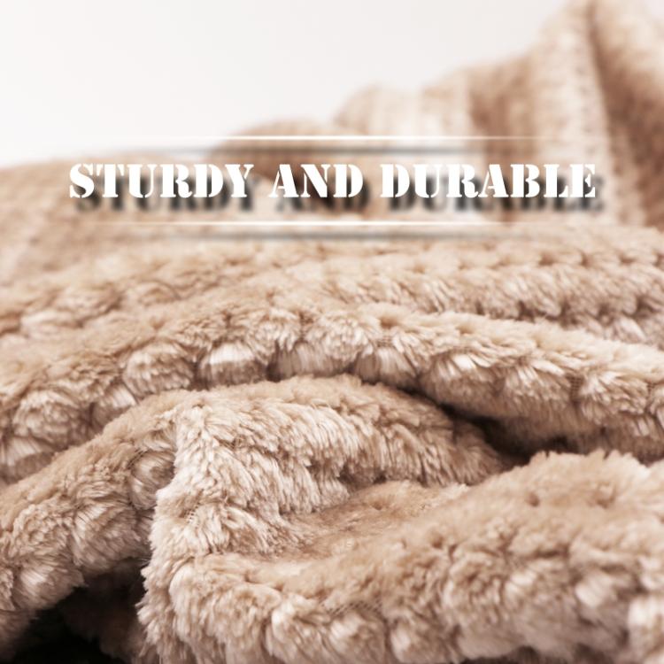 Thicken Solid Color Mesh Pineapple Flannel Blanket Coral Fleece Air Conditioning Sofa Cover Winter Warm Sheets Easy Wash Faux Fur Blankets