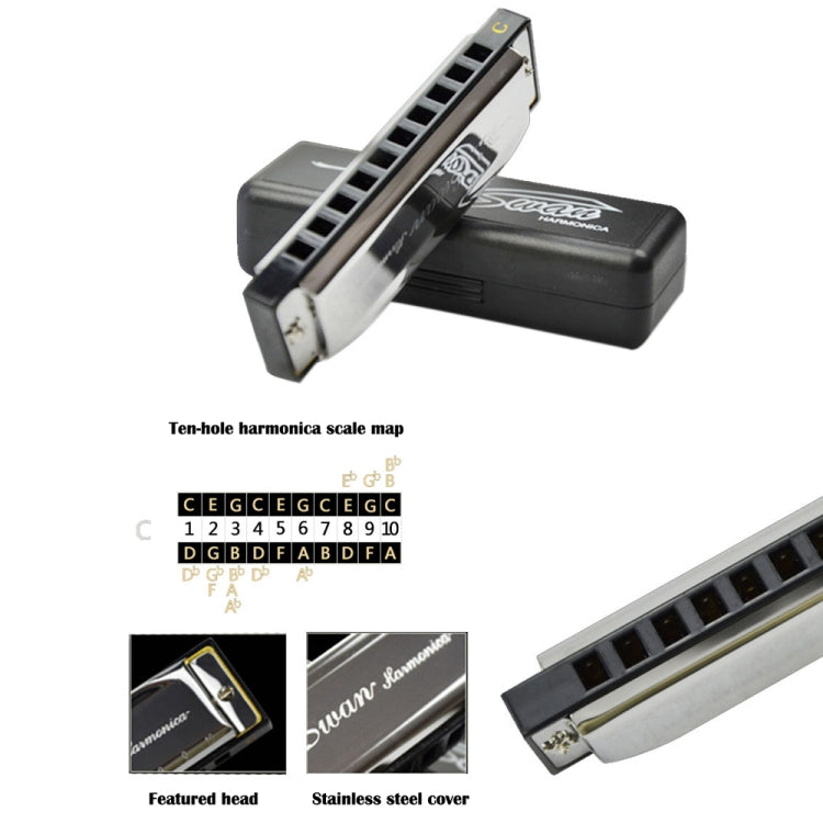 Swan 2 PCS 10 Holes Full-scale Bruce Harmonica Beginner Children Adult Students Playing Musical Instruments