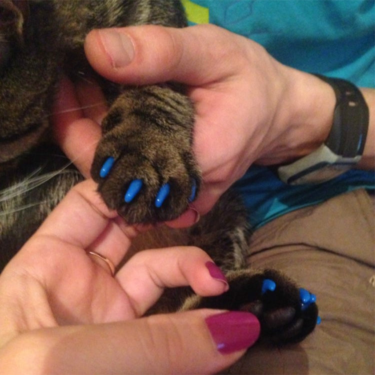 20 PCS Silicone Soft Cat Nail Caps / Cat Paw Claw / Pet Nail Protector/Cat Nail Cover