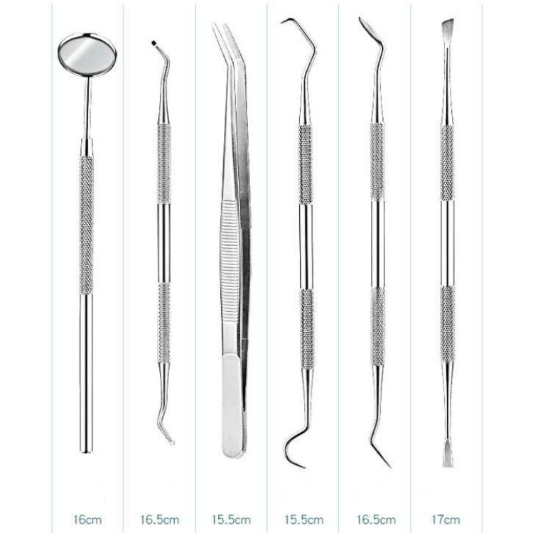 Stainless Steel Dental Tools Dental Care Tartar Tool Dentist Tool Set