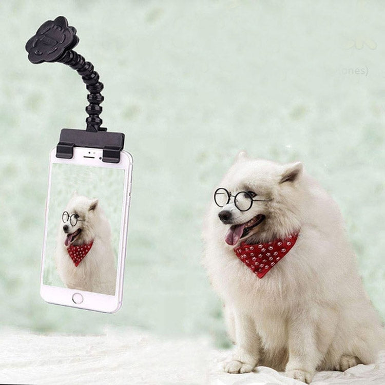 Pet Camera Artifact Dog Cat Looking At Camera Phone Clip