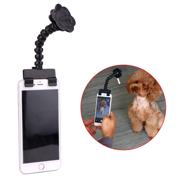 Pet Camera Artifact Dog Cat Looking At Camera Phone Clip