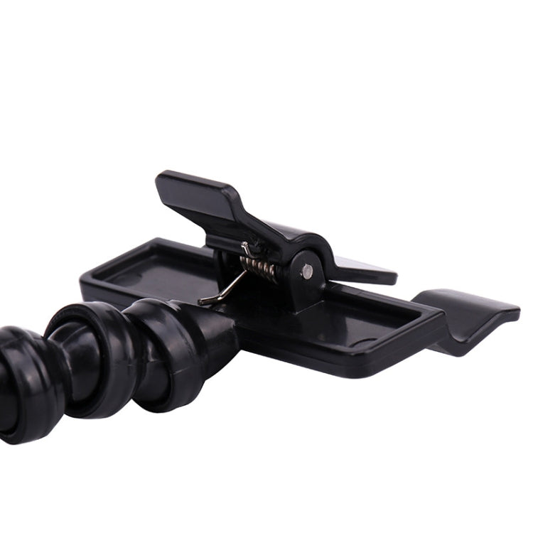 Pet Camera Artifact Dog Cat Looking At Camera Phone Clip