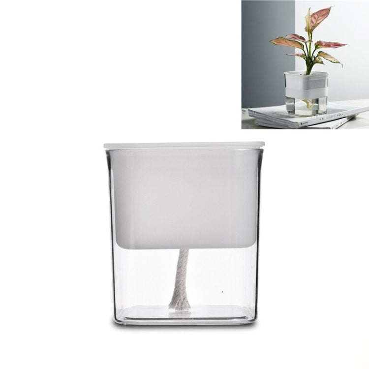 Green Radish Hydroponic Flowerpot Plastic Transparent Non-Porous Plant Automatic Water Absorption  Succulent Flowerpot