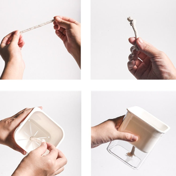 Green Radish Hydroponic Flowerpot Plastic Transparent Non-Porous Plant Automatic Water Absorption  Succulent Flowerpot