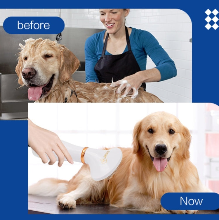 Pet Hair Dryer Cat & Dog Cleaning Electric Comb