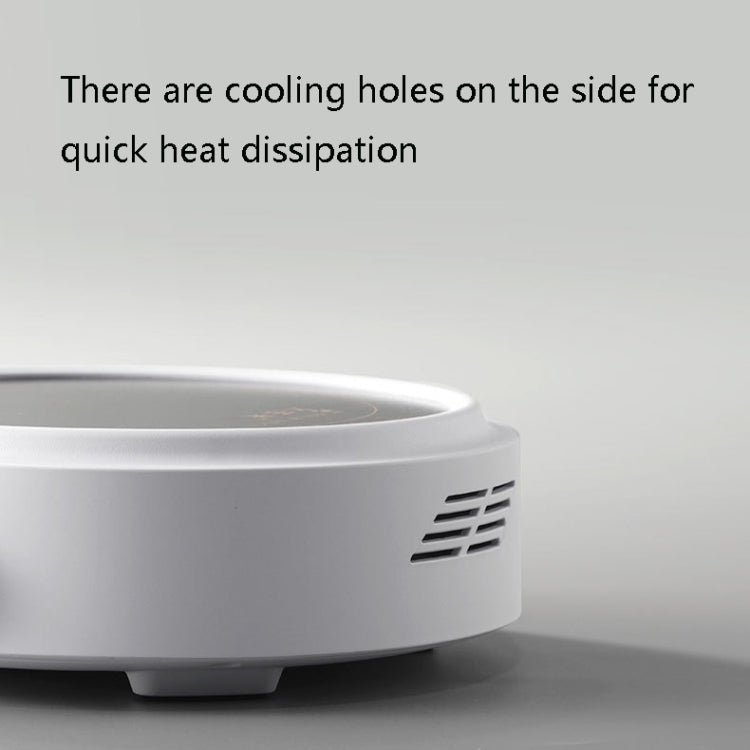 Mini Small Electrical Ceramic Stove Tea Cooker Induction Cooker, CN Plug