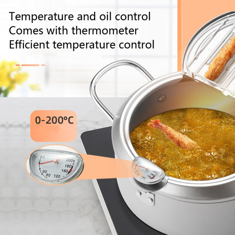 Fryer Pot Household Non-Stick Pan Temperature Control Mini Frying Pot