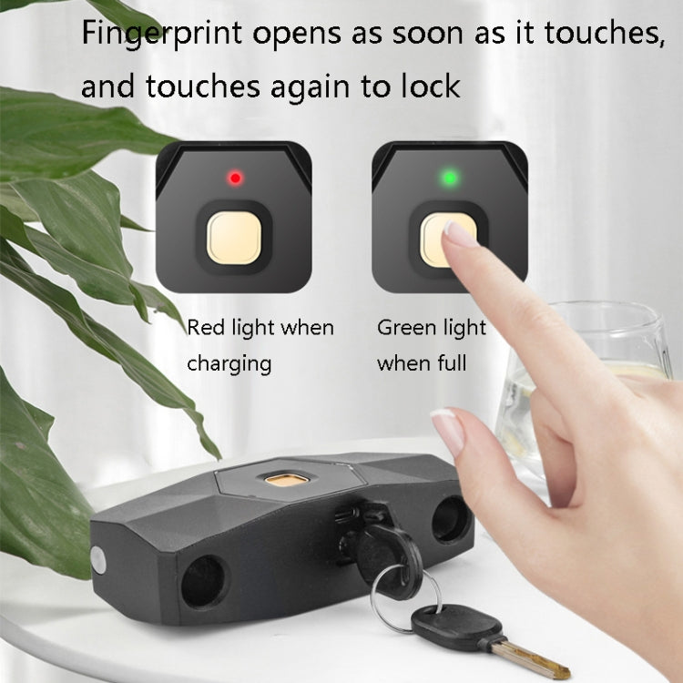 Smart Bluetooth Fingerprint U-Shaped Glass Door Lock Anti-Shear Anti-Theft Lock Extended Outdoor Waterproof U-Shaped Lock