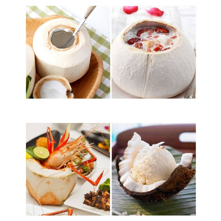 304 Stainless Steel Coconut Opener Tool Coconut Shell Shaving Tool Set