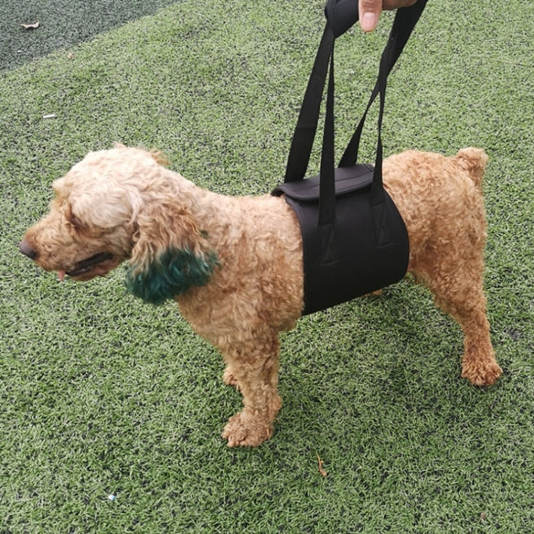 HCPET F1905 Disabled Dogs Assistive Belts Elderly Dogs Walking Assisted Leashes Pet Supplies