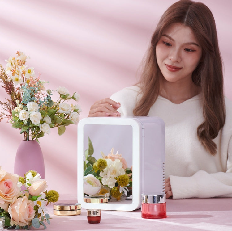 5L Beauty Makeup Mirror Skin Care Products And Facial Mask Refrigerator Semiconductor Car Refrigerator