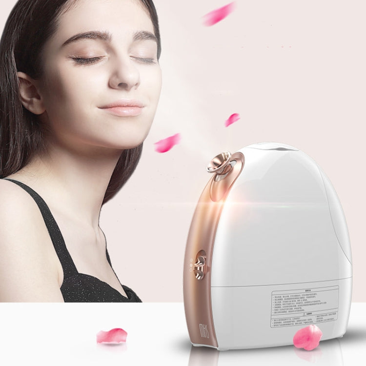 Hot and Cold Spray Fruit and Vegetable Steaming Face Device Nano Spray Water Replenishing Instrument Beauty Instrument, CN Plug