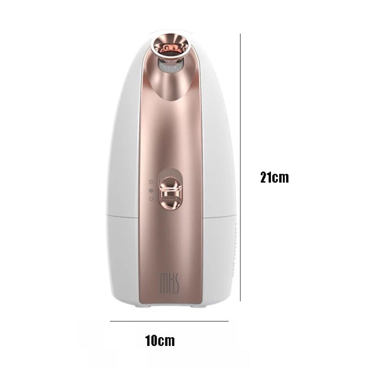 Hot and Cold Spray Fruit and Vegetable Steaming Face Device Nano Spray Water Replenishing Instrument Beauty Instrument, CN Plug