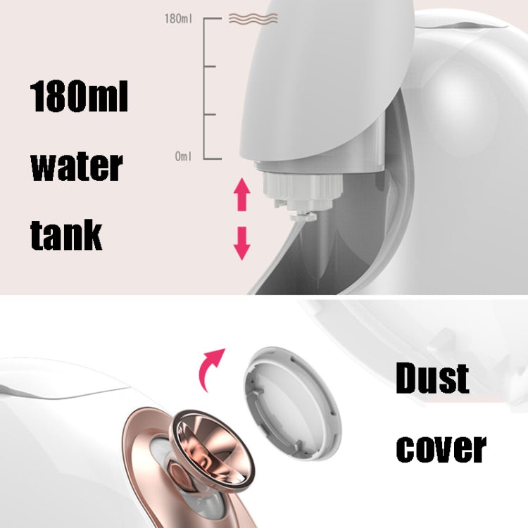 Hot and Cold Spray Fruit and Vegetable Steaming Face Device Nano Spray Water Replenishing Instrument Beauty Instrument, CN Plug