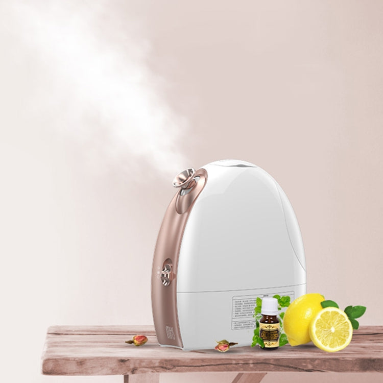 Hot and Cold Spray Fruit and Vegetable Steaming Face Device Nano Spray Water Replenishing Instrument Beauty Instrument, CN Plug