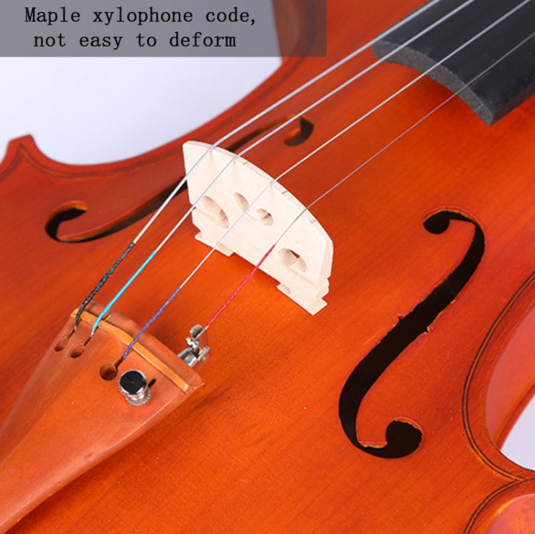 Colored Maple Wood Violin Beginner Practice Violin