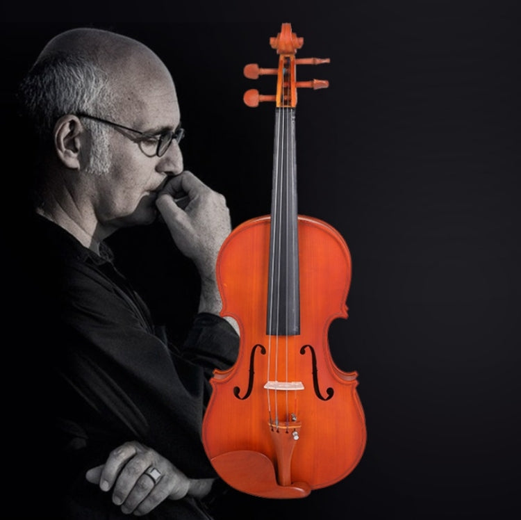 Colored Maple Wood Violin Beginner Practice Violin