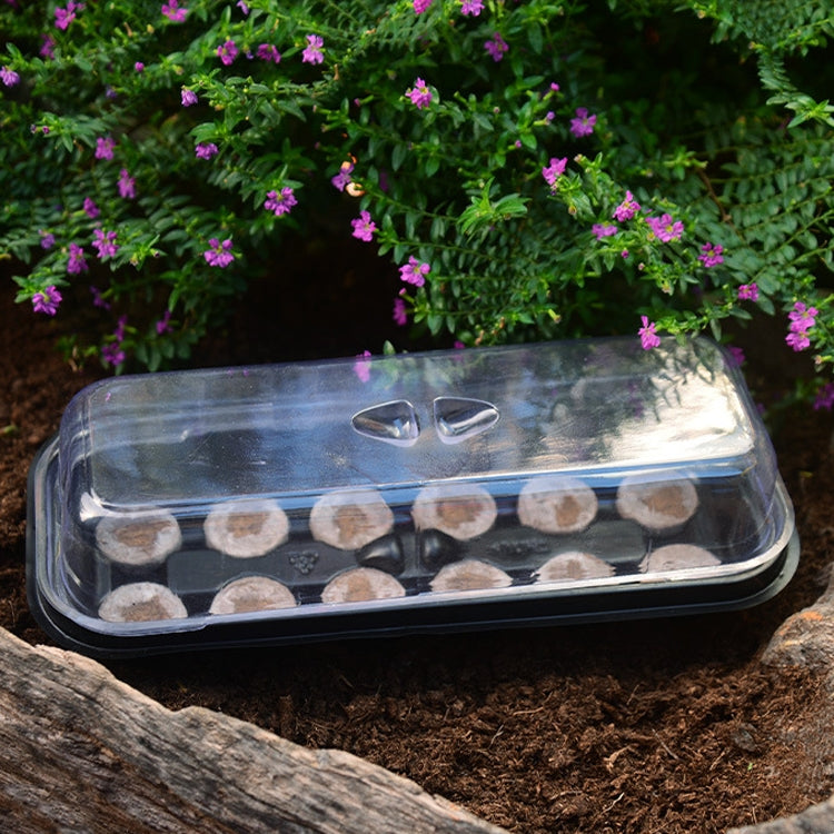 2 In 1 Breeding Seedling Tray Gardening Seeding Box