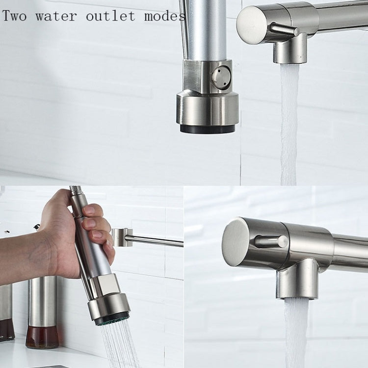 Copper And Nickel Brushed Double Outlet Spring Faucet Rotatable Kitchen Hot And Cold Water Faucet