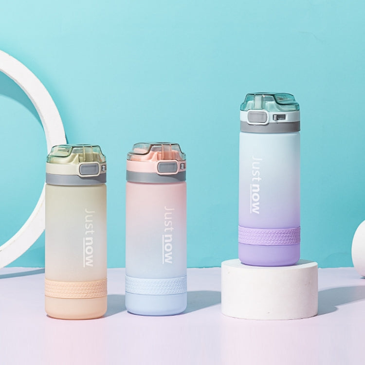 Cartoon Girl Straw Cup Fresh Frosted Gradient Scale Plastic Cup Portable Cup