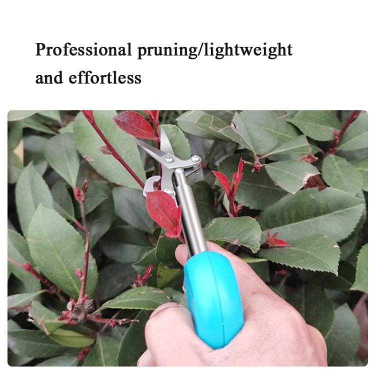 Gardening Pointed Fruit Picking Shears