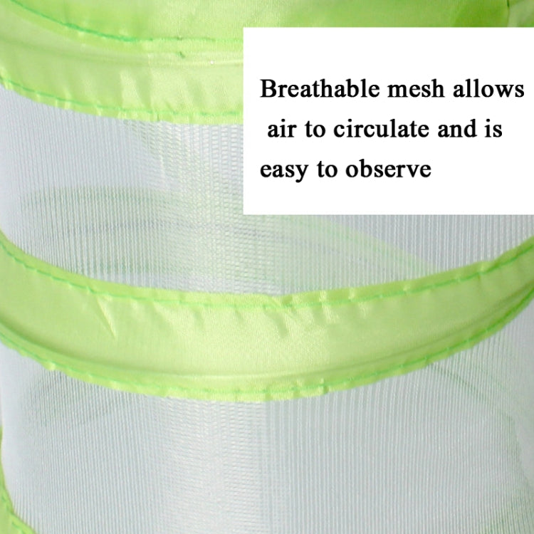 Foldable Butterfly Insect Cage Small Feeding Cage