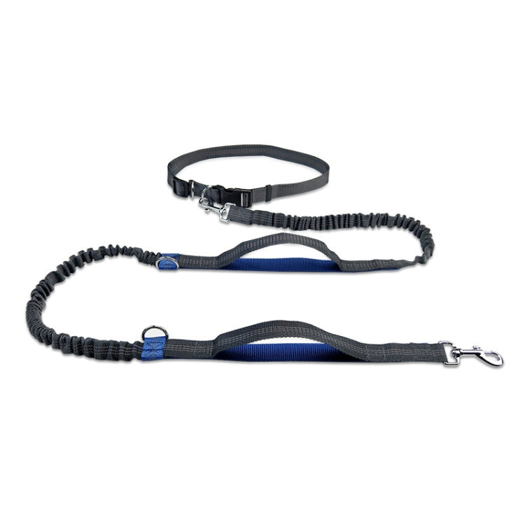 Running Reflective Double Telescopic Dog Rope Dog Chain Traction