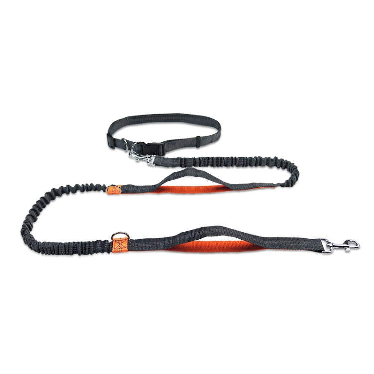 Running Reflective Double Telescopic Dog Rope Dog Chain Traction