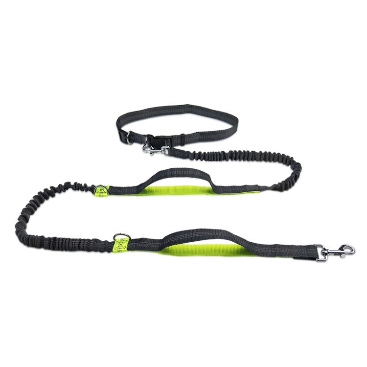 Running Reflective Double Telescopic Dog Rope Dog Chain Traction