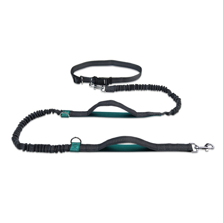Running Reflective Double Telescopic Dog Rope Dog Chain Traction