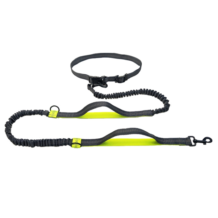 Running Reflective Double Telescopic Dog Rope Dog Chain Traction