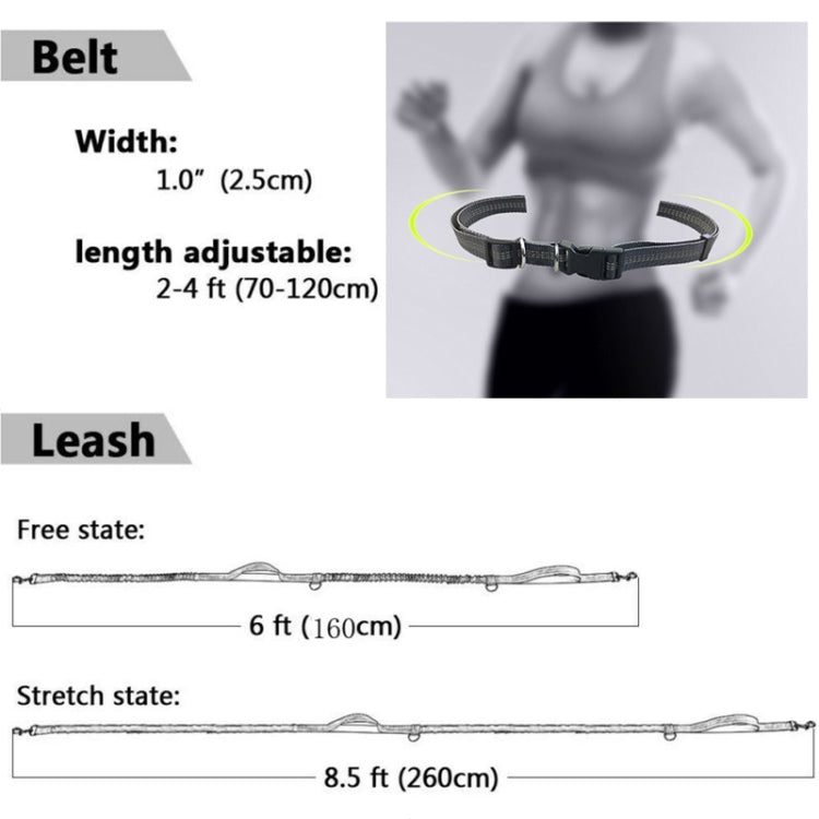 Running Reflective Double Telescopic Dog Rope Dog Chain Traction