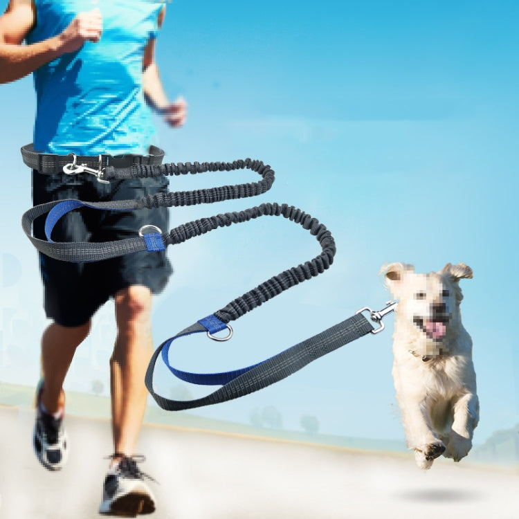 Running Reflective Double Telescopic Dog Rope Dog Chain Traction